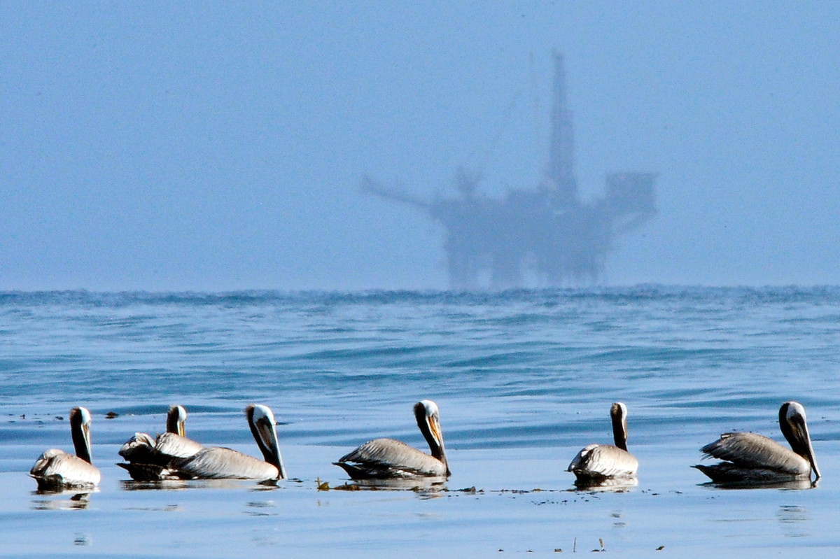How a Tiny Oil Company Became a Trump Administration Weapon Against California